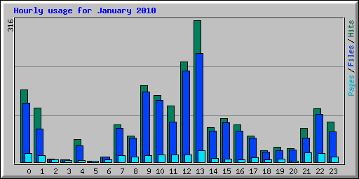 Hourly usage for January 2010